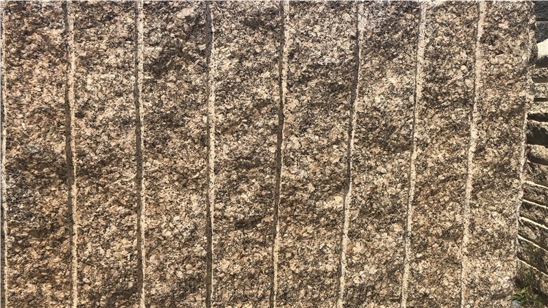 Giallo Fiorto Granite Stone Slabs Tiles Floor Wall