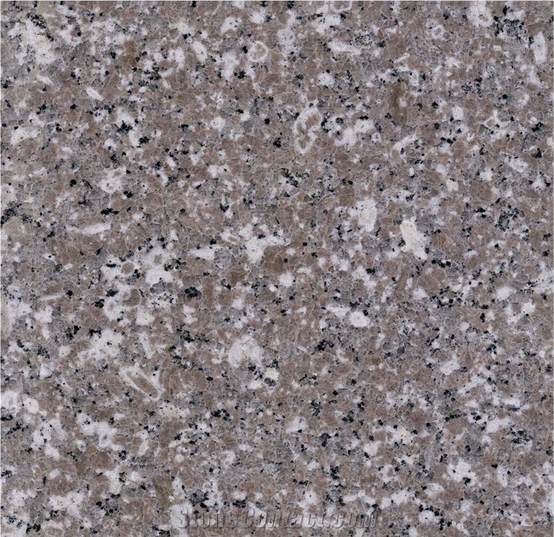 G648 Polished Half Slab Tile