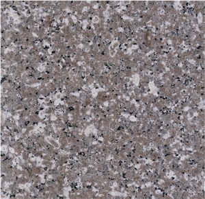 G648 Polished Half Slab Tile