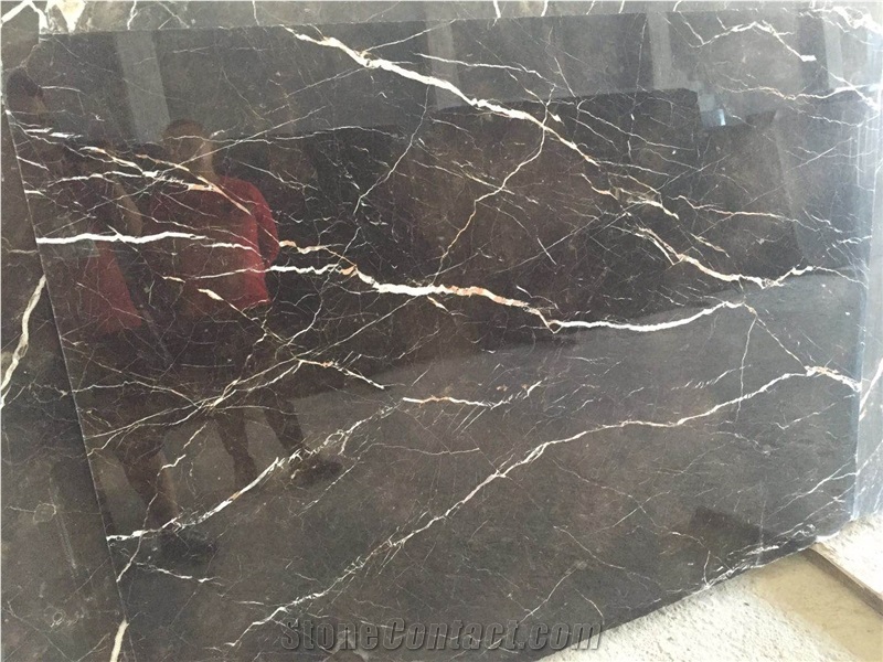 Best Tulip Brown Marble Color Home Flooring Tiles