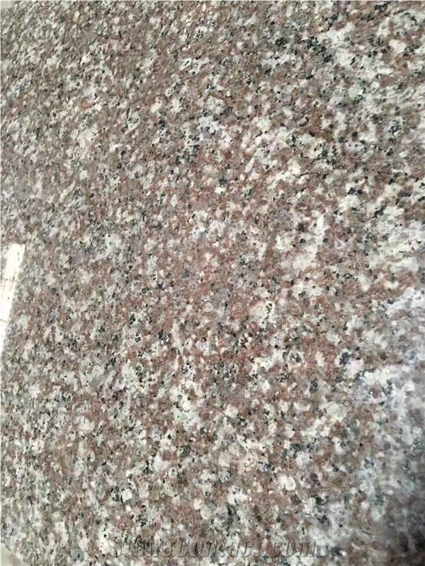 Original G664 Granite Misty Brown Slabs and Tiles