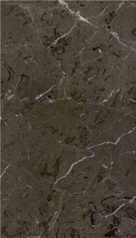 Avid Dark Grey Marble Slabs, Tiles
