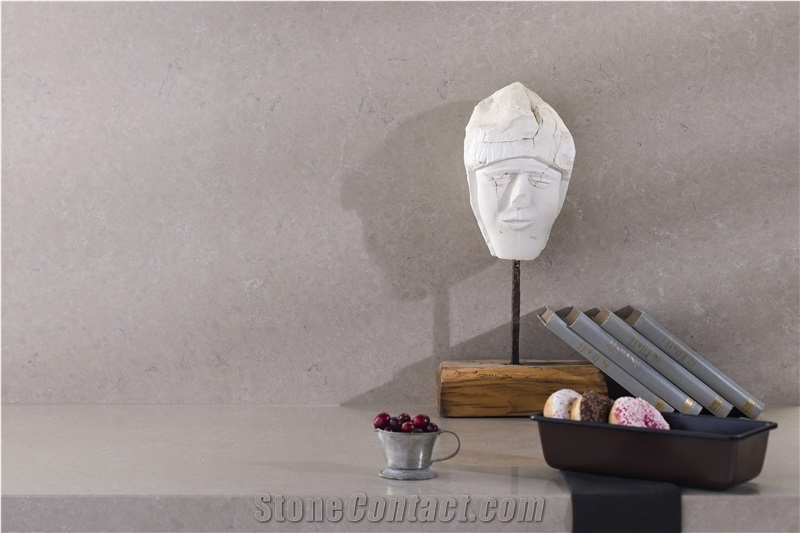 3333 Boletus Quartz Stone