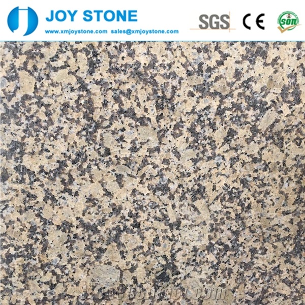 China G703 Yellow Granite Polished Slabs for Sale