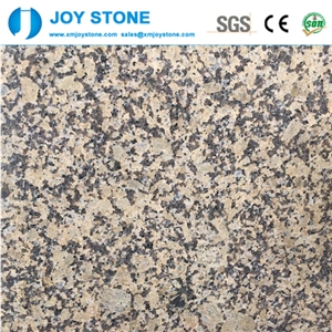 China G703 Yellow Granite Polished Slabs for Sale