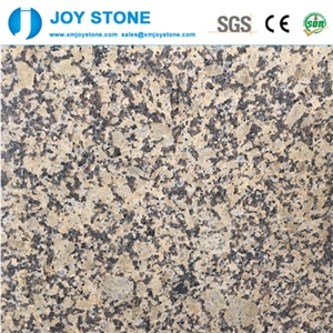 Hot Sale Polished China Hami Gold Granite Slabs