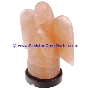 Himalayan Ionic Salt Crystal Angel Lamp