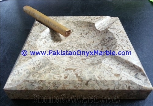 Marble Cigar Ashtrays Fossil Corel