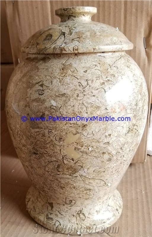 Marble Jars Fossil Corel Marble Handcarved