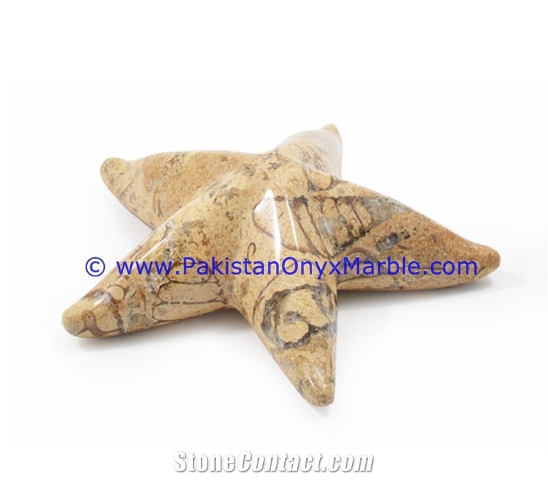 Marble Star Fishes Black White Teakwoood Fossil