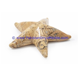 Marble Star Fishes Black White Teakwoood Fossil Marble Star Fishes Black White Teakwoood Fossil