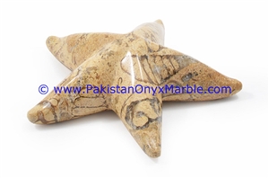 Marble Star Fishes Black White Teakwoood Fossil