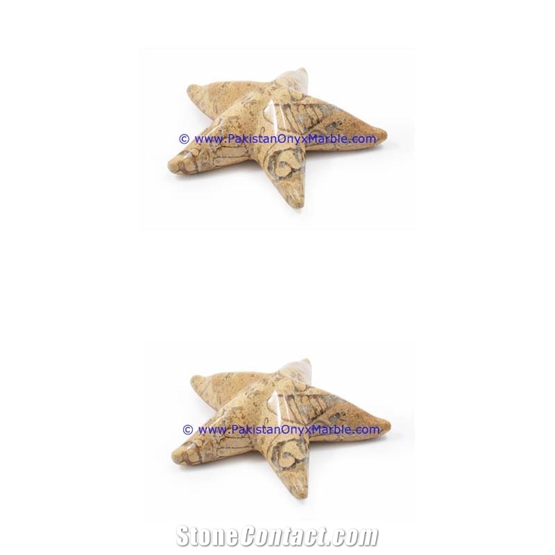 Marble Star Fishes Black White Teakwoood Fossil