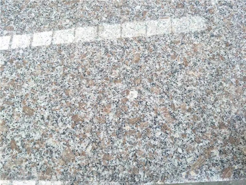 China Cheapest G383 Light Grey Granite