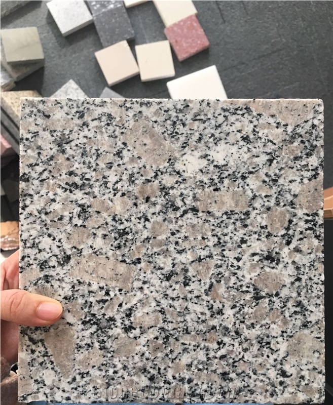 China Cheapest G383 Light Grey Granite