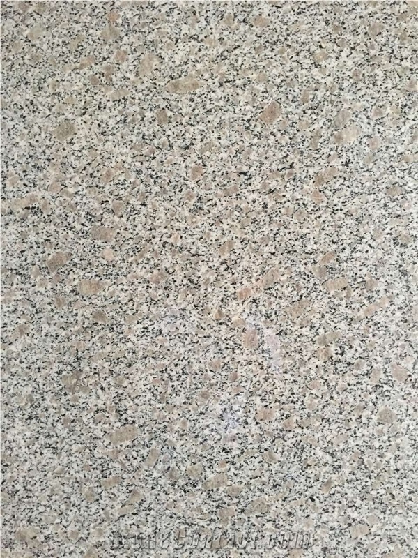 China Cheapest G383 Light Grey Granite