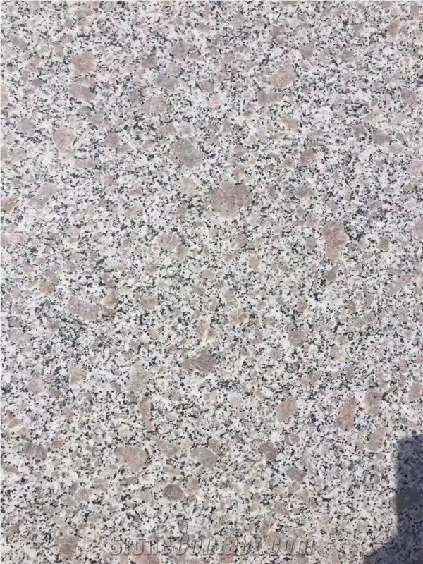 China Cheapest G383 Light Grey Granite