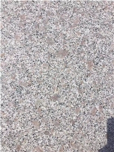 China Cheapest G383 Light Grey Granite
