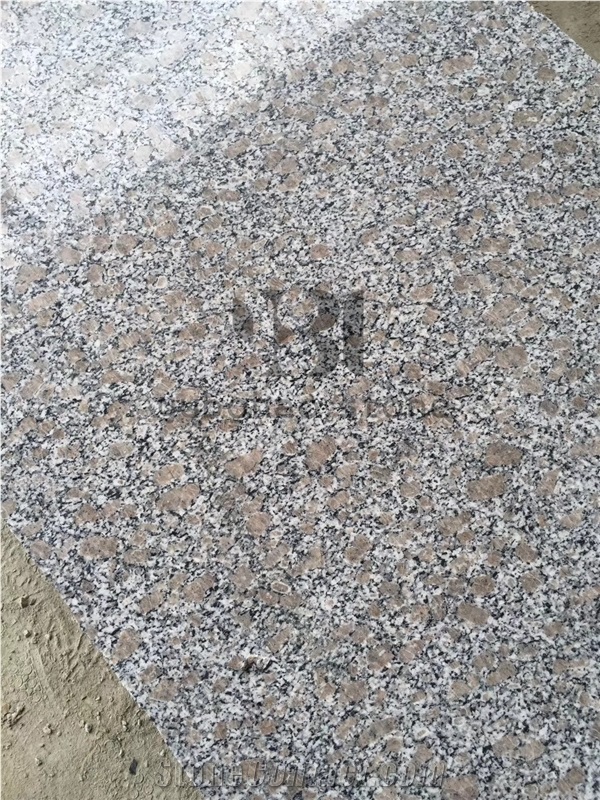 Cheap Price G383 Pear Flower Granite Bullnose Step