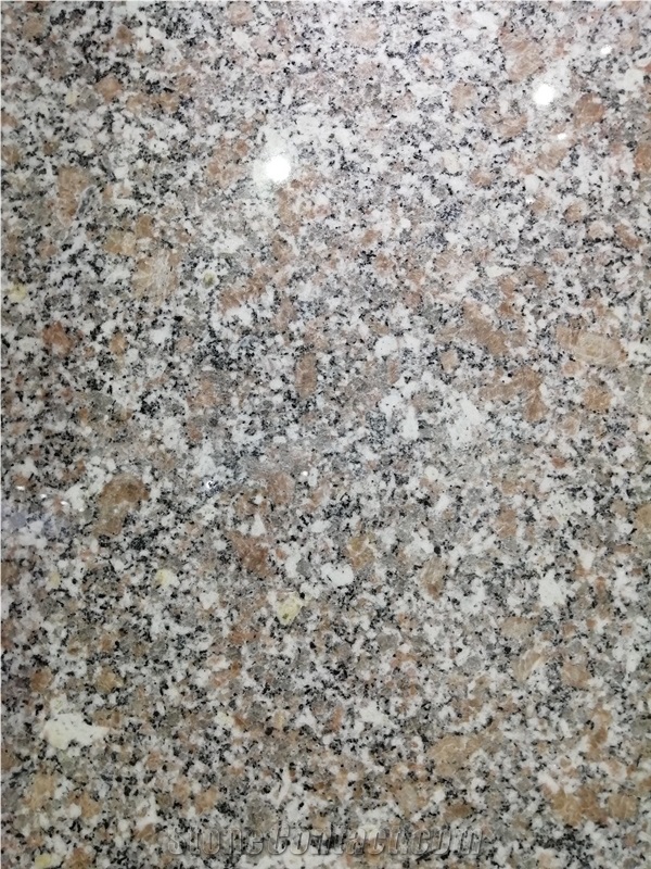 Polished Red Color Granite