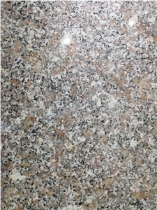 Polished Red Color Granite