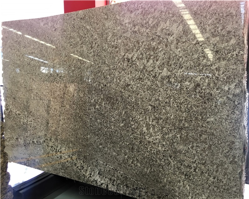 Blanco Bianco Antico Potiguar White Granite Slabs