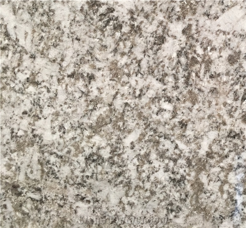 Blanco Bianco Antico Potiguar White Granite Slabs