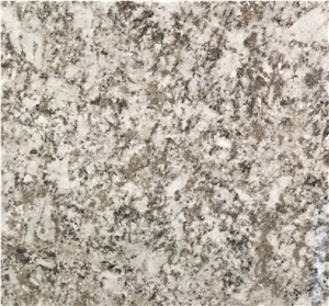 Blanco Bianco Antico Potiguar White Granite Slabs
