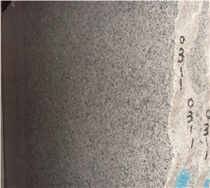 Canada Grey Blue Eyes Granite Slab Polished