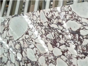 Calacatta Viola Marble, Calacatta Purple Marble