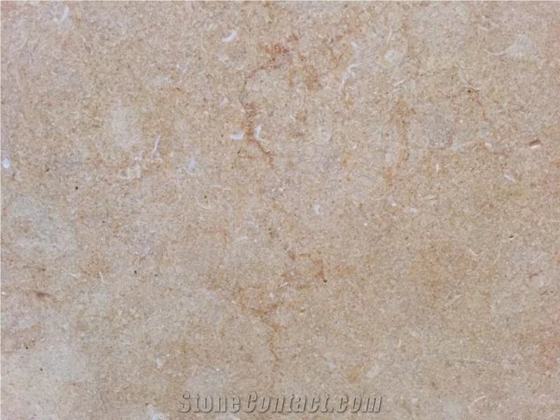 Israel Jerusalem Gold Limestone Slab Polished