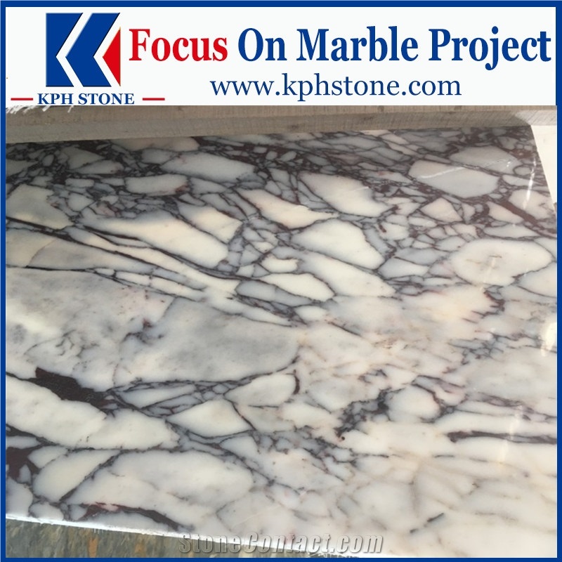 Marmi Calacatta Viola Violet Marble Slabs