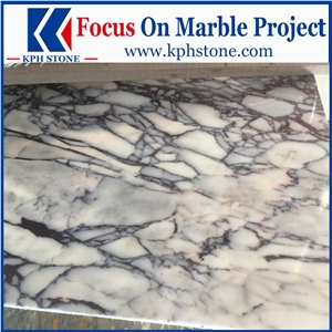 Marmi Calacatta Viola Violet Marble Slabs