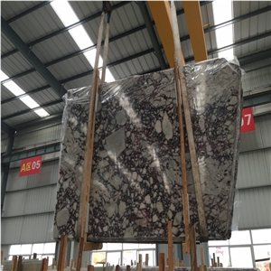 Marmi Calacatta Viola Violet Marble Slabs