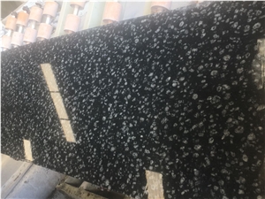 Coin Black Granite Slabs
