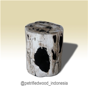 Petrified Wood Stool Full Polished