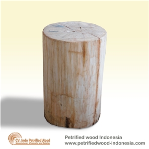 Petrified Wood Stool Full Polished