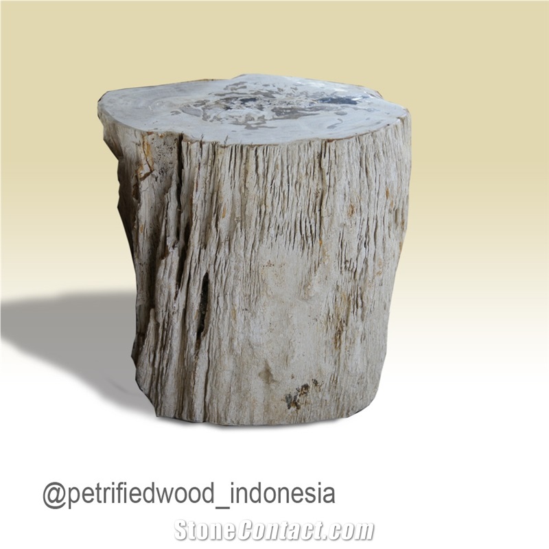 Petrified Wood Stool Top Polished
