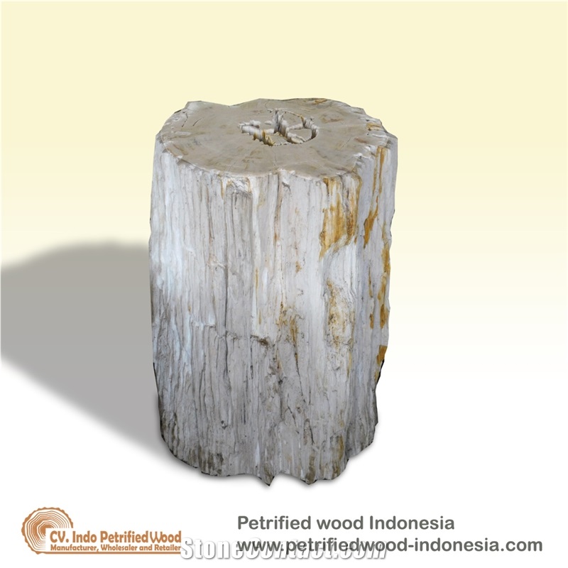 Petrified Wood Stool Top Polished
