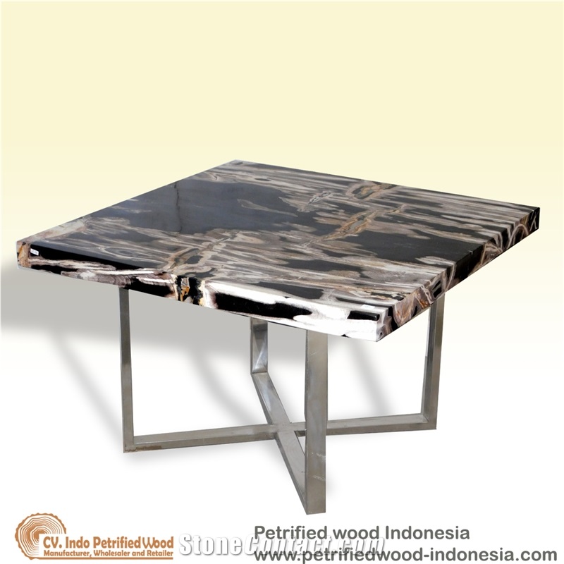 Petrified Wood Table