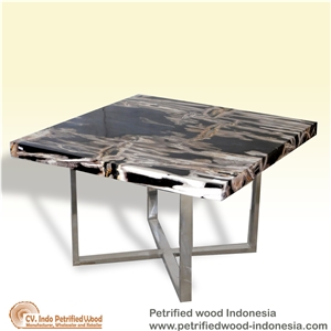 Petrified Wood Table