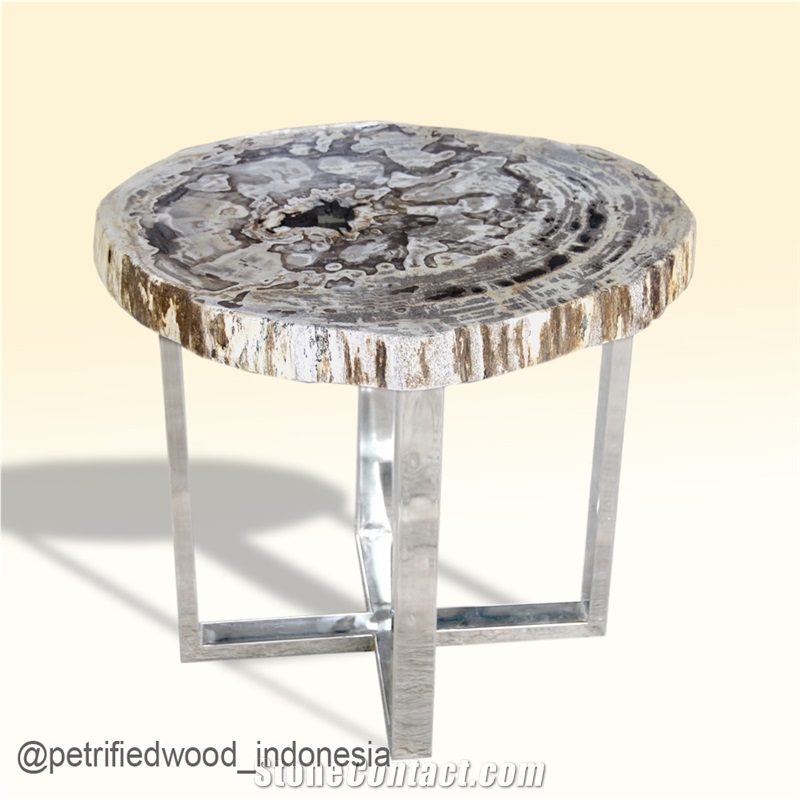 Petrified Wood Table