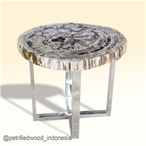Petrified Wood Table