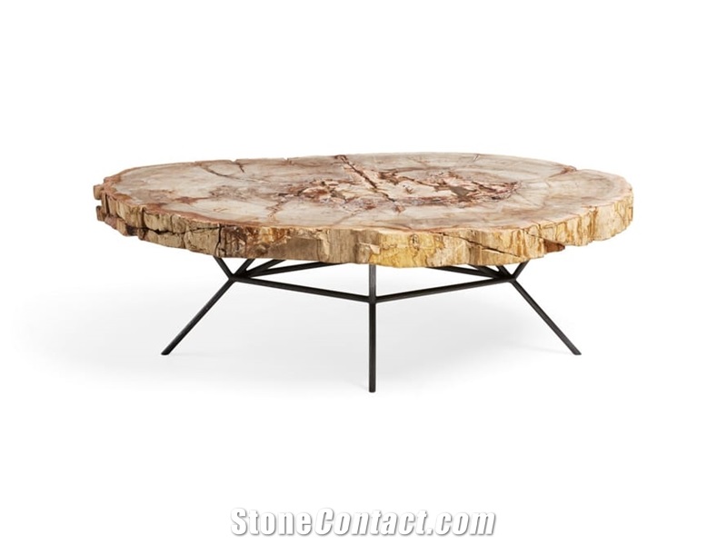 Petrified Wood Table