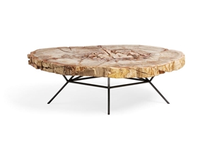Petrified Wood Table