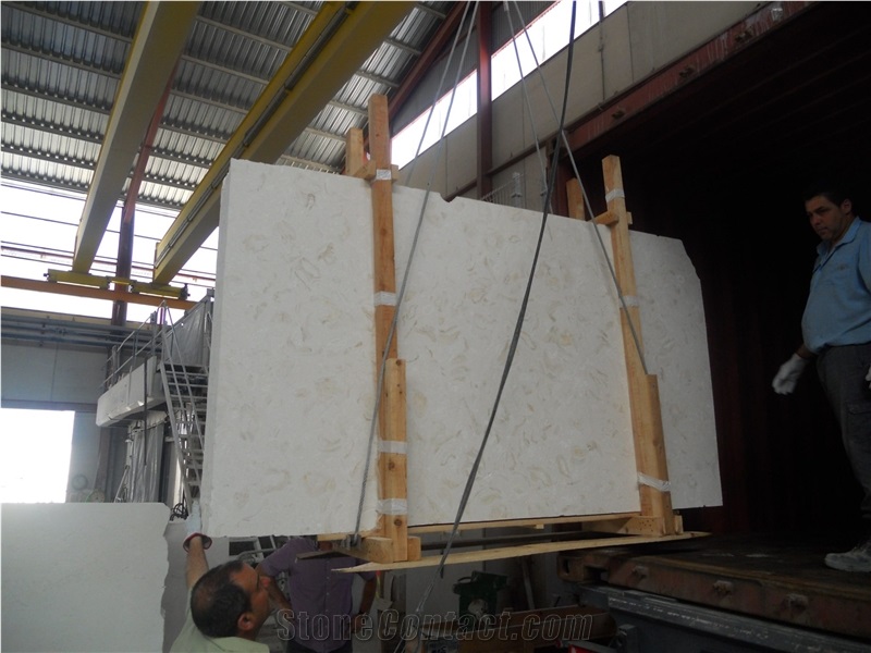 Caliza Alba Sea Shell Limestone Slabs