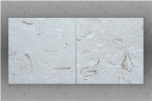 Shell Reef White Limestone Honed Tiles