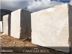 Camellia Beige Marble Blocks
