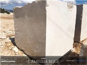Camellia Beige Marble Blocks