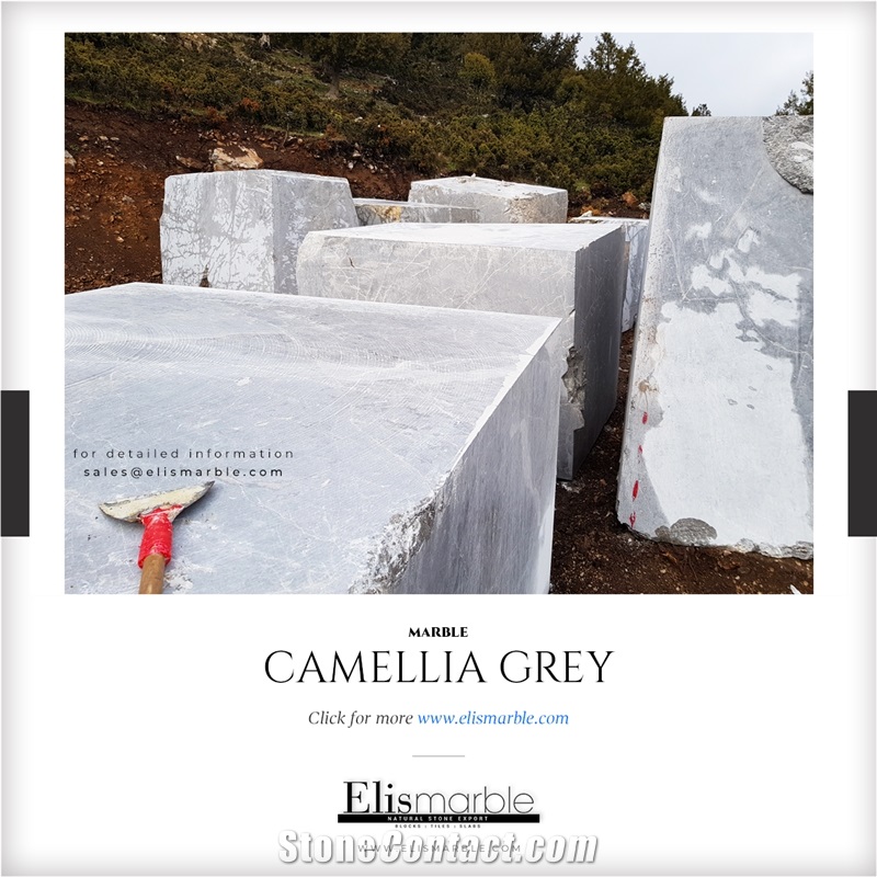 Camellia Grey Marble Blocks